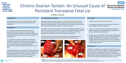 Thumbnail for Chronic Ovarian torsion: an unusual cause of persistent foetal transverse lie