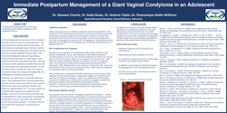 Thumbnail for Immediate Postpatum Management of a Giant Vaginal Condyloma in an Adolescent
