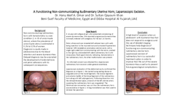 Thumbnail for Case report: A Functioning Non-communicating Rudimentary Uterine Horn; Laparoscopic Excision.