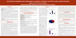 Thumbnail for Less intrusive abdominal wall organopexy surgery for stage III, IV genital prolapse