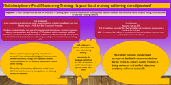 Thumbnail for Multidisciplinary Fetal Monitoring Training: Is your local training achieving the objectives?