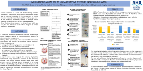 Preview of Implementing a grab box to manage uterine inversion in the labour ward