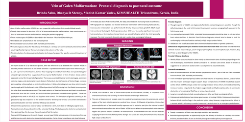 Preview of Vein of Galen Malformation: Prenatal diagnosis to postnatal endovascular management