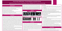 Thumbnail for Vein of Galen Malformation: Prenatal diagnosis to postnatal endovascular management