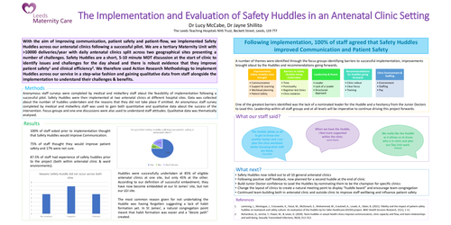 Preview of The Implementation and Evaluation of Safety Huddles in an Antenatal Clinic Setting