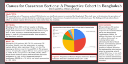 Thumbnail for Causes for Caesarian section in a private hospital in Bangladesh
