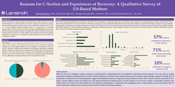 Thumbnail for Reasons for Caesarean Section and Recovery Experiences: A Qualitative, US-Based Study
