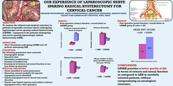 Thumbnail for Our Experience of Laparoscopic Nerve Sparing Radical Hysterectomy for Cervical Cancer