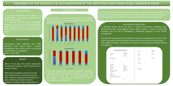 Thumbnail for Assessment of Adequacy of Documentation at the Obstetrics and Gynaecology Admission Room