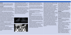 Thumbnail for Renal Abscess in Pregnancy