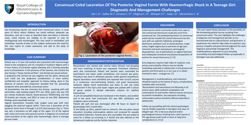 Preview of COITAL INJURY WITH HAEMORRHAGIC SHOCK IN A TEENAGER: CULTURAL CHALLENGES IN DIAGNOSIS