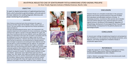 Thumbnail for AN ATYPICAL NEGLECTED CASE OF GENITOURINARY FISTULA MIMICKING UTERO-VAGINAL PROLAPSE