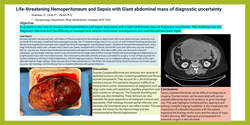 Thumbnail for Life-threatening Hemoperitoneum and Sepsis with Giant abdominal mass of diagnostic uncertainty.