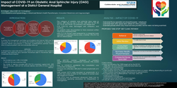 Thumbnail for Impact of COVID-19 on Obstetric Anal Sphincter Injury Management at a DGH