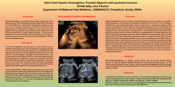Thumbnail for Giant Fetal Hepatic Hemangioma- Prenatal diagnosis with postnatal outcome