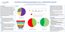 Thumbnail for Developing an emergency gynaecological service: a multidisciplinary approach