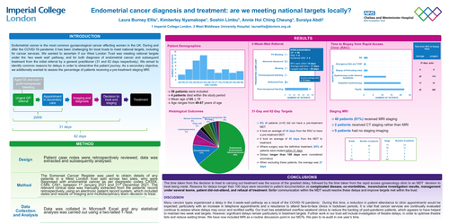 Preview of Endometrial Cancer diagnosis and treatment: are we meeting national targets locally?