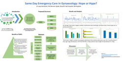 Thumbnail for Same Day Emergency Care in Gynaecology: Hope or Hype?