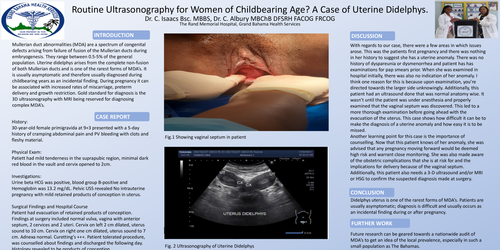 Preview of Routine Ultrasonography for Women of Childbearing Age? A Case of Uterine Didelphys