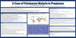 Thumbnail for A case of Falciparum Malaria in Pregnancy
