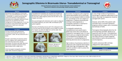 Thumbnail for Sonographic Dilemma in Bicornuate Uterus- Transabdominal or Transvaginal