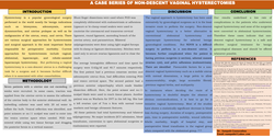 Thumbnail for A Case Series of Non-descent Vaginal Hysterectomies