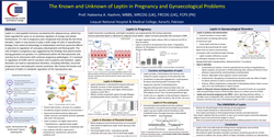 Thumbnail for The Known and Unknown of Leptin in Obstetrics & Gynaecology.