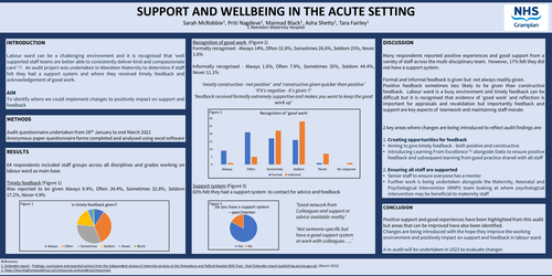 Preview of Staff support and feedback in the acute setting
