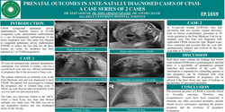 Thumbnail for Perinatal outcomes in antenatally diagnosed cases of CPAM – a case series