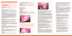 Thumbnail for Atypical presentation of genital chlamydia