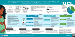 Thumbnail for Improving experiences of gestational diabetes in pregnancy and reducing future diabetes risk.