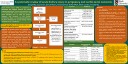 Thumbnail for A systematic review of acute kidney injury in pregnancy and cardio-renal outcomes