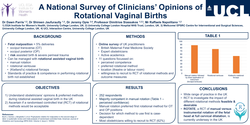 Thumbnail for A National Survey of Clinician’s Opinions of Rotational Vaginal Births