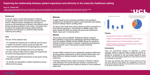 Preview of Exploring relationships between patient experience and ethnicity in the maternity healthcare setting