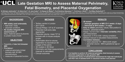 Thumbnail for Late gestation MRI to assess maternal pelvimetry, fetal biometry and placental oxygenation