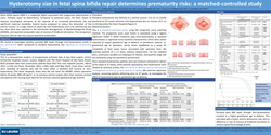 Thumbnail for Hysterotomy size in fetal spina bifida repair determines prematurity risks: matched-controlled study