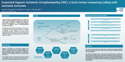 Preview of Suspected Hypoxic Ischaemic Encephalopathy: a local review comparing coding with neonatal outcomes