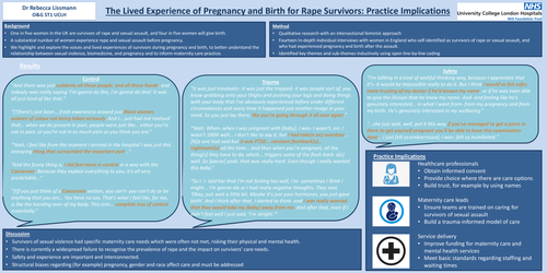 Preview of The Lived Experience of Pregnancy and Birth for Rape Survivors: Practice Implications
