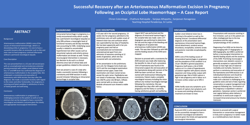 Preview of Successful Recovery after Arteriovenous Malformation Excision in Pregnancy Following Occipital Lobe Haemorrhage