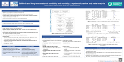 Thumbnail for Stillbirth and long-term maternal morbidity and mortality; a systematic review and meta-analysis.