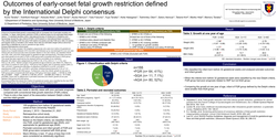 Thumbnail for Outcomes of early-onset fetal growth restriction defined by the international Delphi consensus