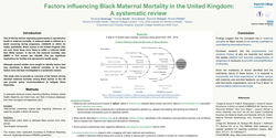 Thumbnail for Factors influencing Black Maternal Mortality in the United Kingdom: A systematic review