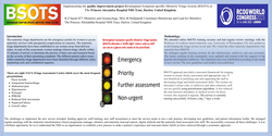 Thumbnail for Implementing the quality improvement project Birmingham Symptom-specific Obstetric Triage System locally
