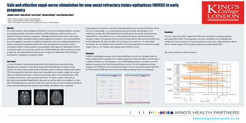 Preview of Safe and effective vagal-nerve-stimulation for new-onset refractory status-epilepticus (NORSE) in early pregnancy
