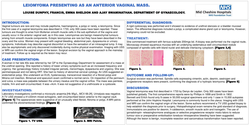 Thumbnail for Leiomyoma Presenting as an Anterior Vaginal Mass.