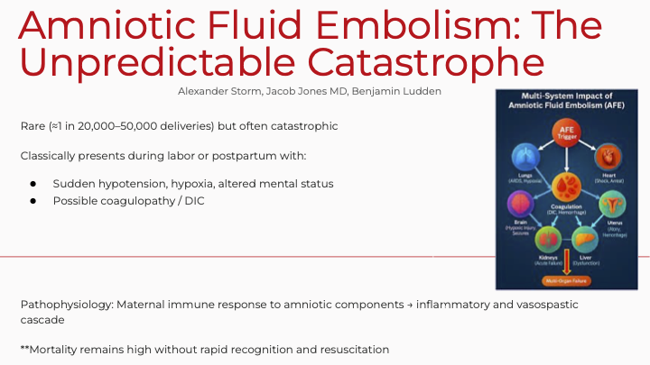 Thumbnail for Suspected Amniotic Fluid Embolism During Vaginal Delivery of Dichorionic Diamniotic Twins Under Epidural Anesthesia