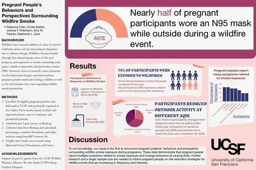 Preview of Pregnant People's Behaviors and Perspectives Surrounding Wildfire Smoke
