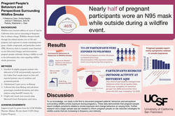 Thumbnail for Pregnant People's Behaviors and Perspectives Surrounding Wildfire Smoke