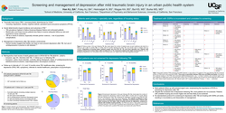 Thumbnail for Screening and treatment of depression after mild traumatic brain injury in an urban public health system