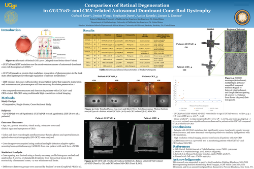 Preview of Comparison of Retinal Degeneration in GUCY2D and CRX-related Autosomal Dominant Cone-Rod Dystrophy